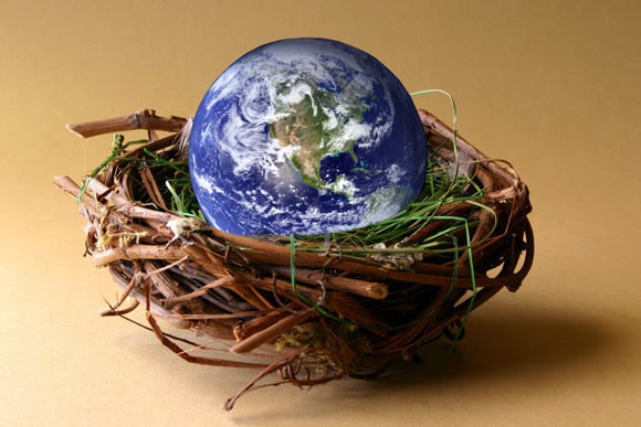 Nest with a small globe