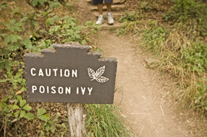 Poison Ivy caution sign