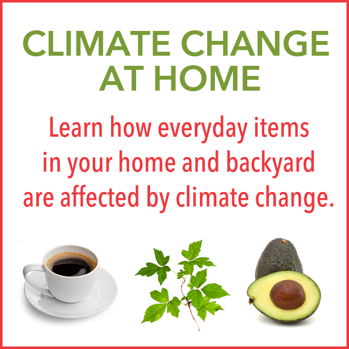Climate Change hits home from kitchens to backyards graphic