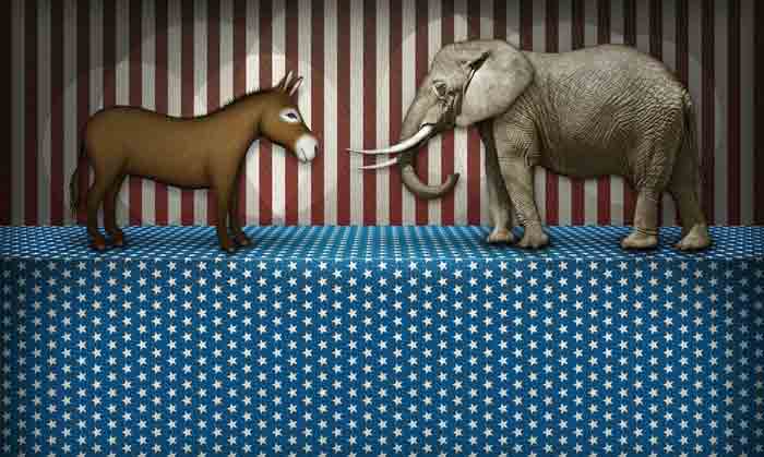 Political donkey and elephant