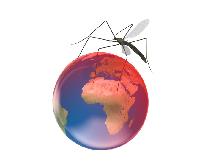 Mosquito balanced on a globe