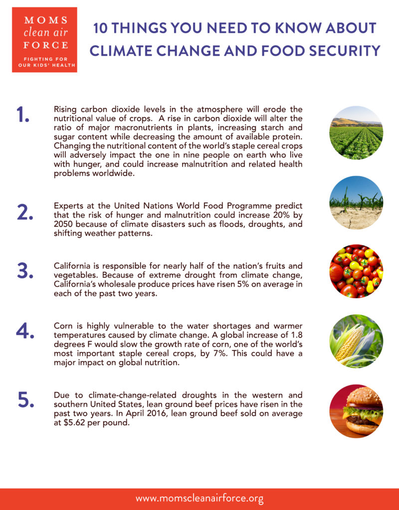 10_things_you_need_to_know_about_climate_change_and_food_security_page_1