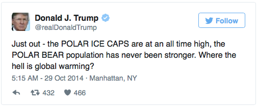 Trump tweet denying climate change, saying polar bears population strong
