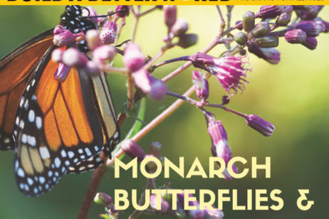 Monarch butterflies and climate change program