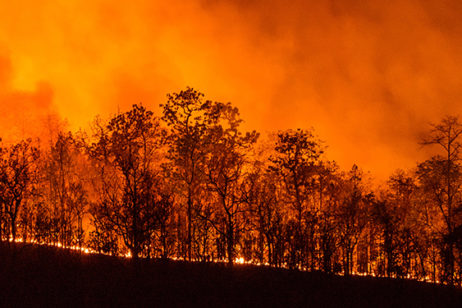 wildfire smoke