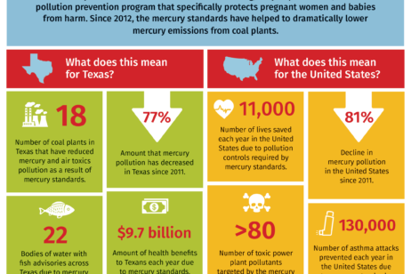 Mercury Pollution in Texas