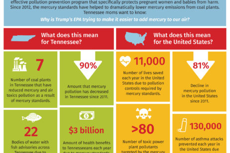 Mercury Pollution in Tennessee
