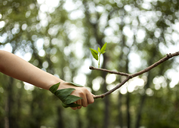 woman holding hands with a branch and leaves