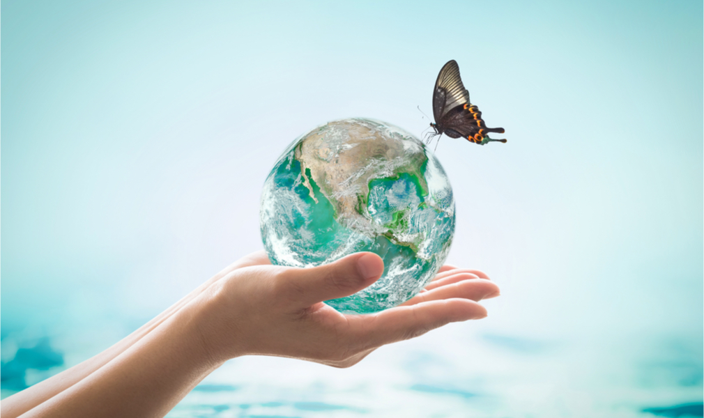 hands holding globe with butterfly on it, symbolizing a clean planet and the fight against climate change