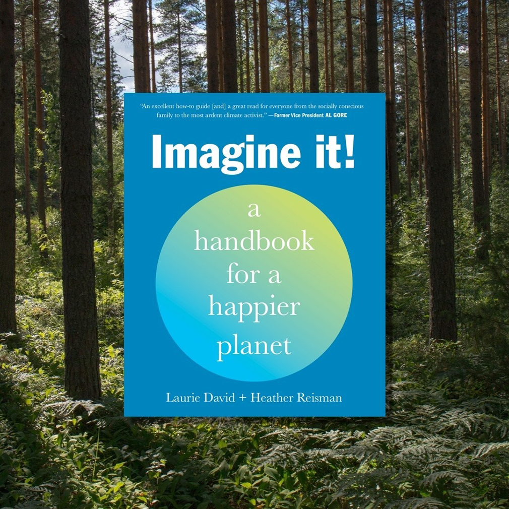 Imagine It! a handbook for a healthier planet book cover