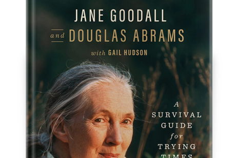 Jane Goodall's "The Book of Hope" Helps Us Survive in Trying Times