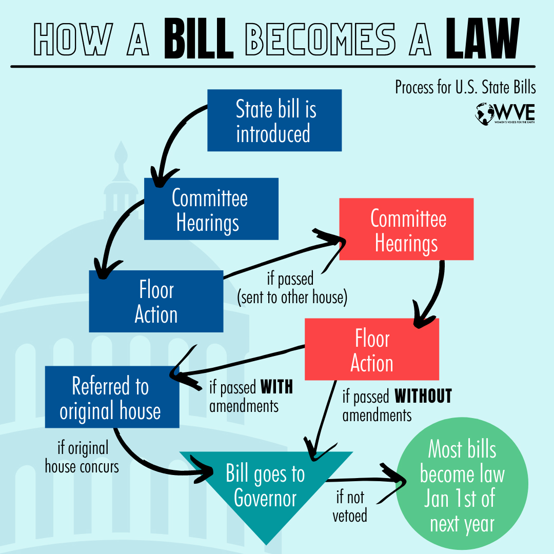 How A Bill Becomes A Law In Your State Infographic