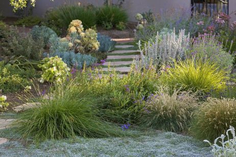 Ditch the Lawn for a Drought-Tolerant Garden