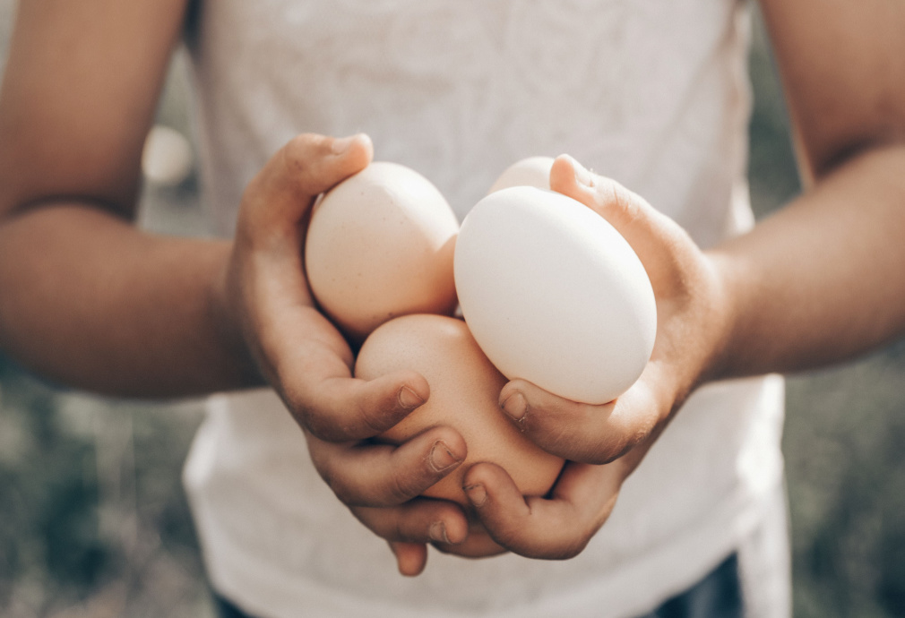 Child holding eggs