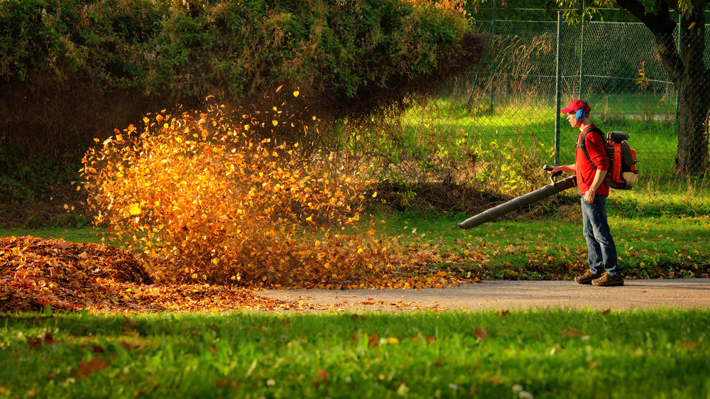 Leaf blowers like this one create air pollution