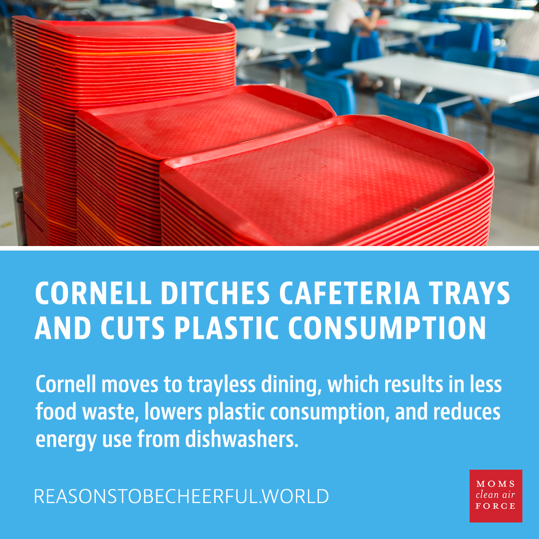 Cornell ditches cafeteria trays and cuts plastic consumption