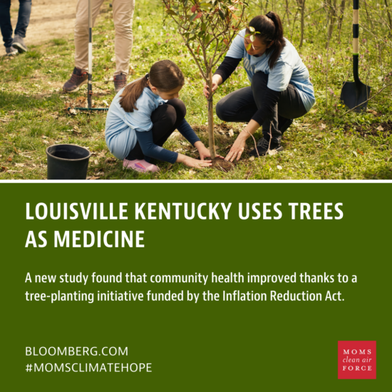 Louisville Kentucky Uses Trees As Medicine