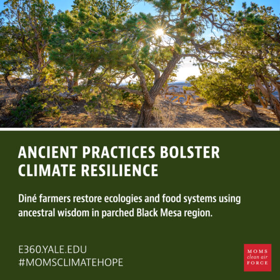 Ancient Practices Bolster Climate Resilience