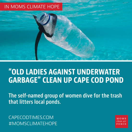 "Old Ladies Against Underwater Garbage" Clean Up Cape Cod Pond