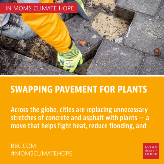 Climate Hope - Swapping Pavement for Plants