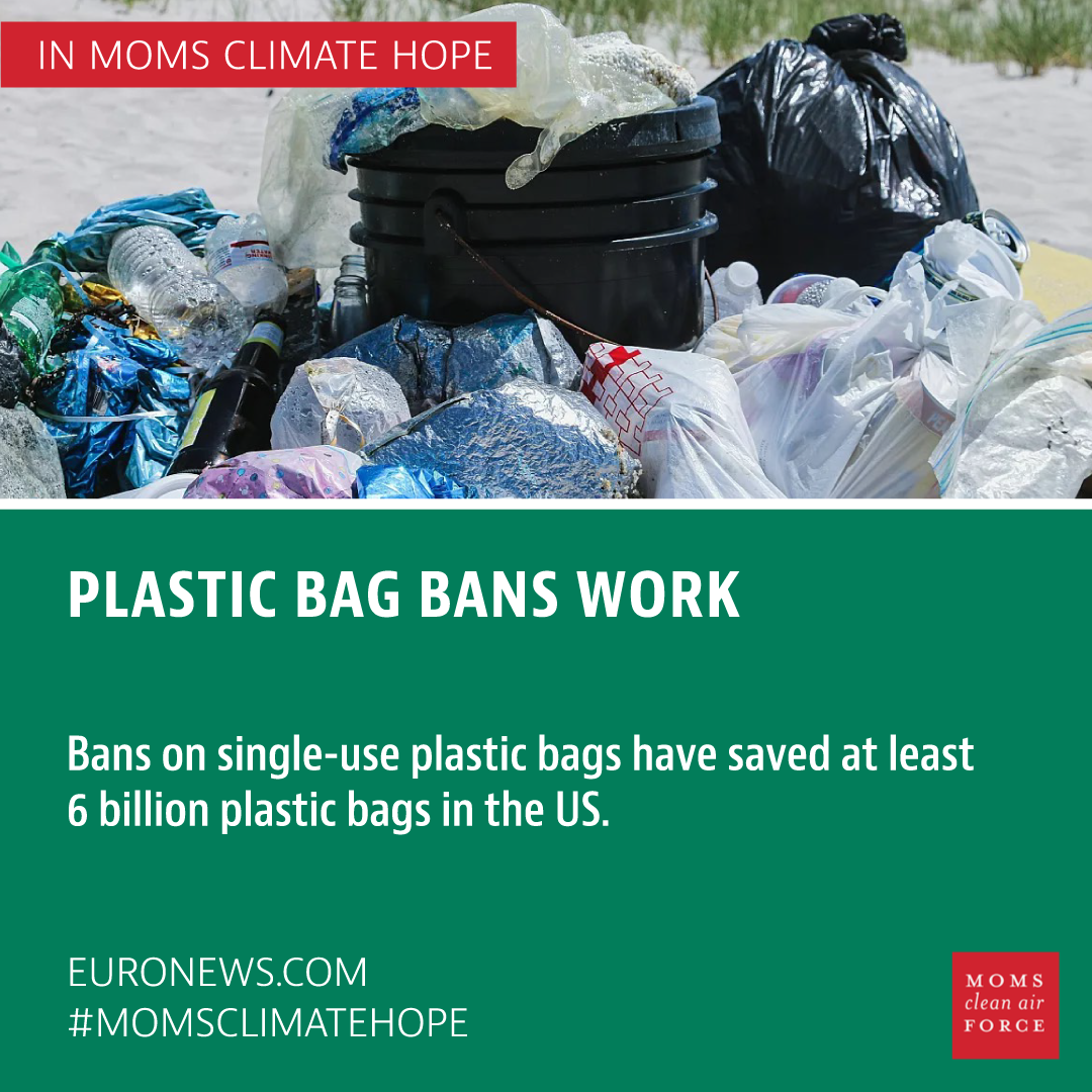 Plastic Bag Bans Work