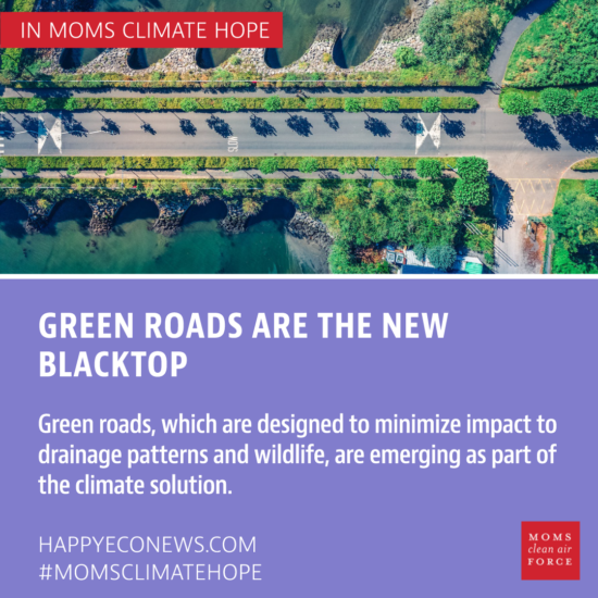 Green Roads Are The New Blacktop