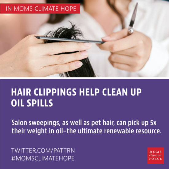 Hair clippings help clean up oil spills