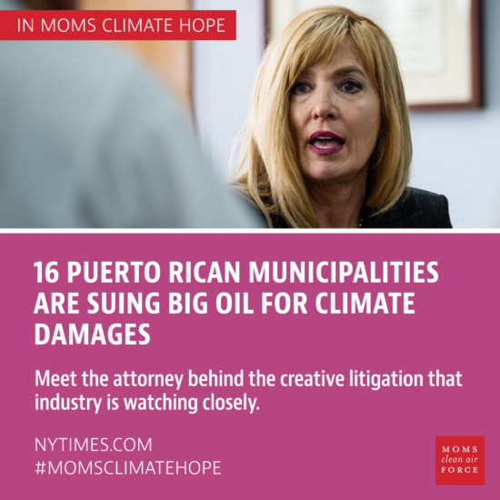 16 Puerto Rican municipalities are suing big oil for climate damages