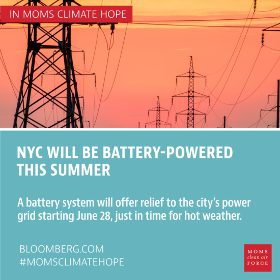 NYC will be battery-powered this summer