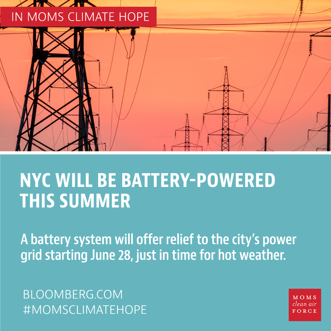 NYC will be battery-powered this summer