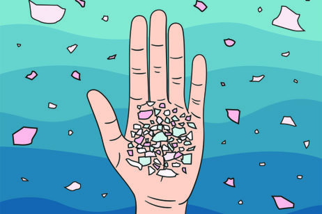 The Real Story on Microplastics