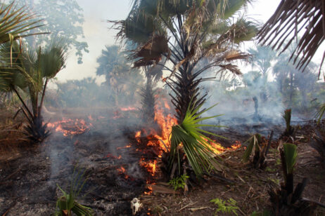 Hawaii Wildfires: Apocalyptic, Unprecedented, and Deadly