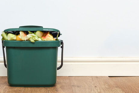 How to Reduce Your Food Waste This Holiday Season and Beyond