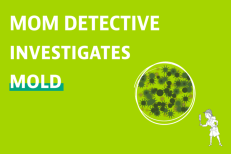 Ask Mom Detective: How Do I Know If I Have Toxic Mold?