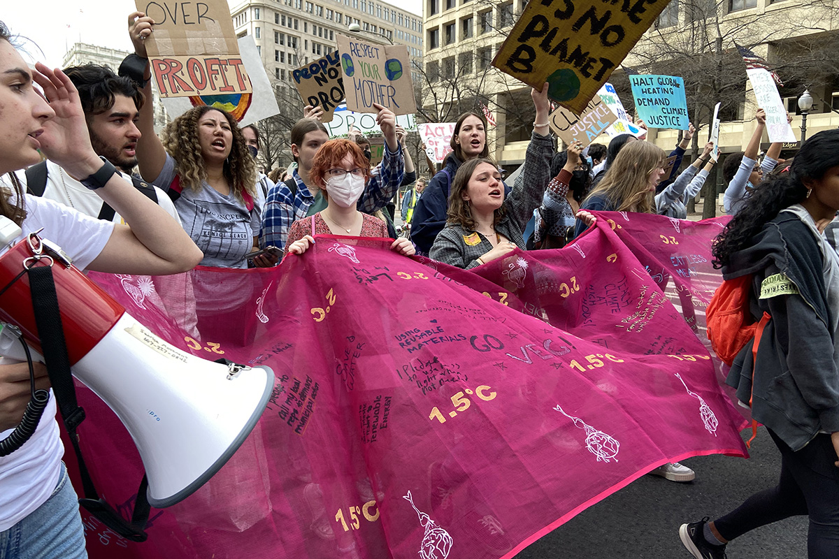Storytelling With Saris in action at a local climate protest