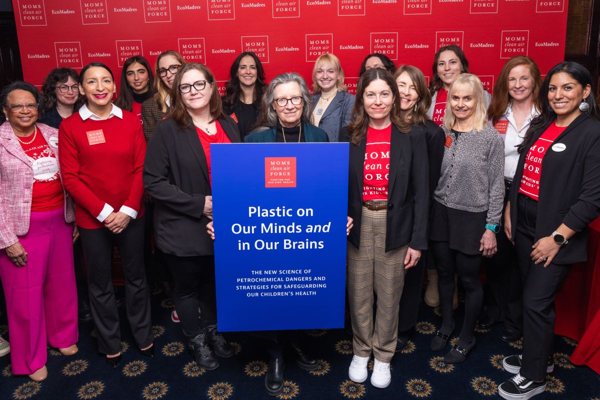 Participants at Moms' Annual Summit
