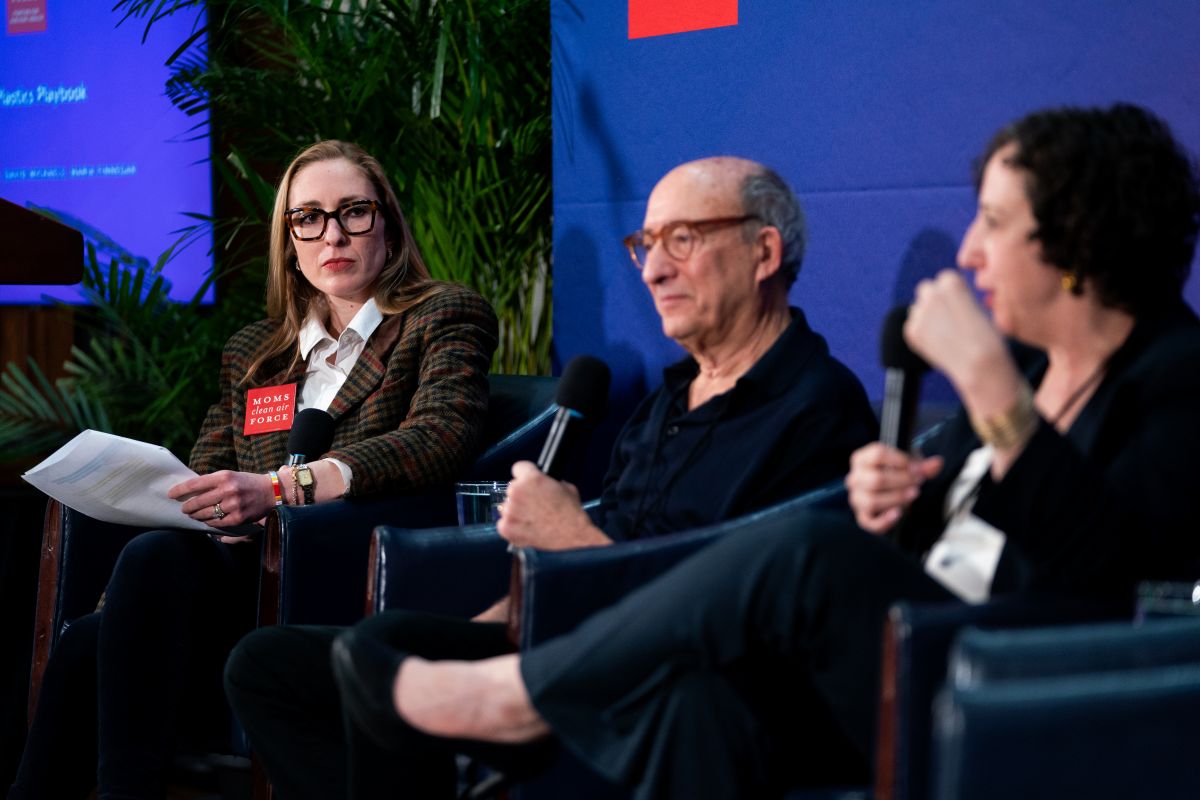 Panel at Plastic on Our Minds and In Our Brains