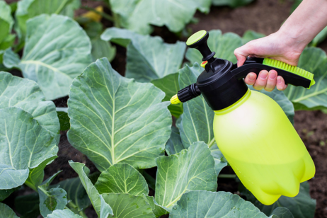 Is Planned Ammonia Boom a Bust?