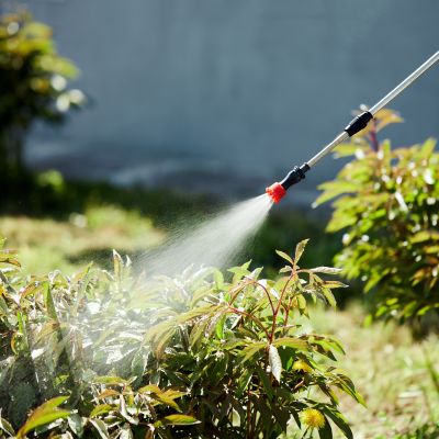 Tell Congress: Support the Americans vs. Poisonous Pesticides Act