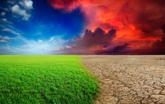 photo showing green grass, drought stricken, cracked land, blue sky, and hot, red air all in one