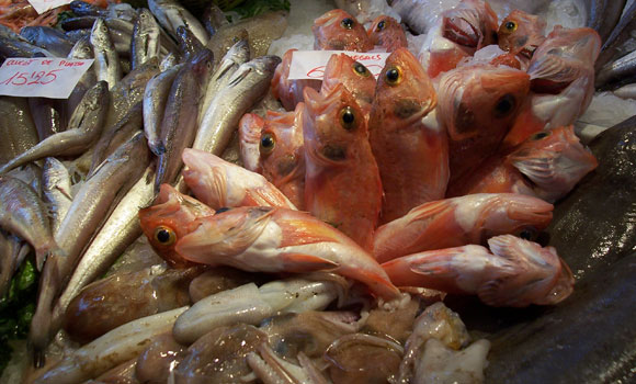Raw fish at a fish market