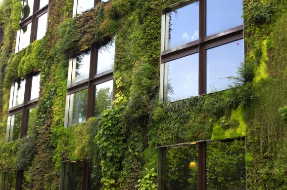 Building with green walls