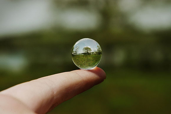 Drop of water reflecting treee in field balanced on tip of finger