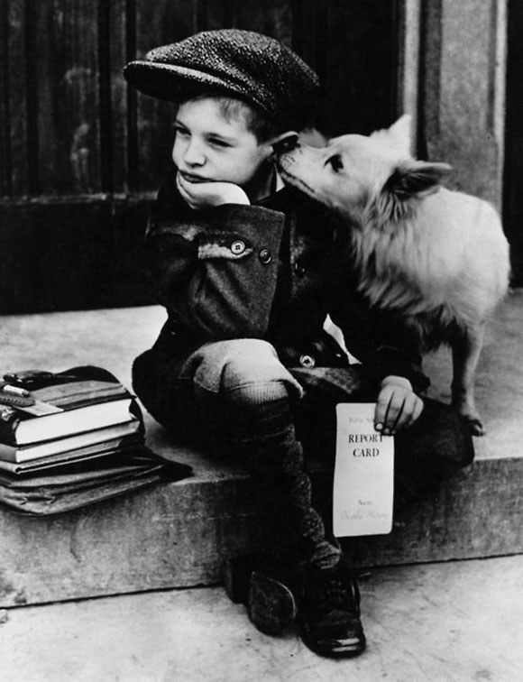 Old fashioned boy holding report card and sitting next to a dog.
