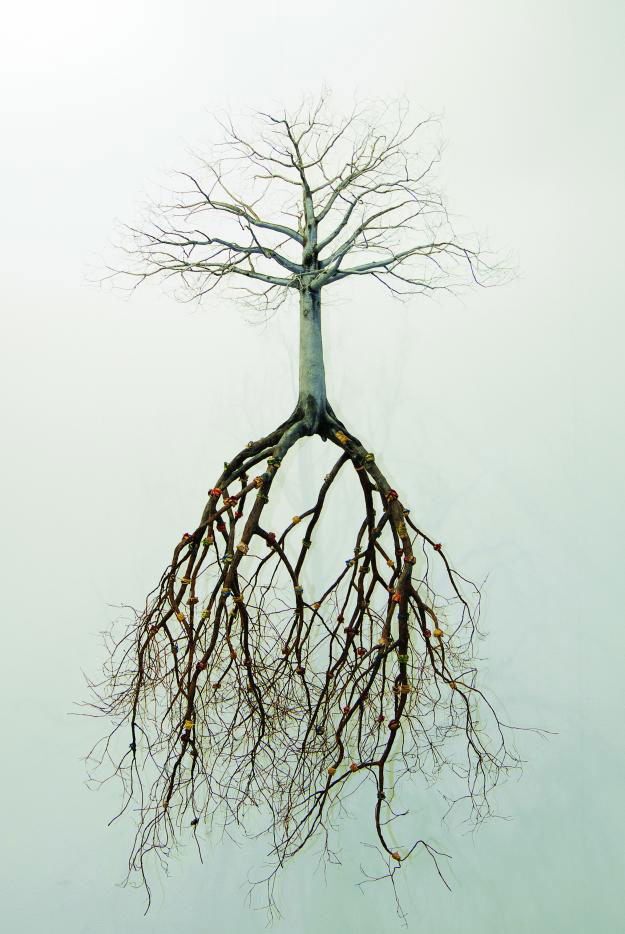 Graphic of tree with deep rots