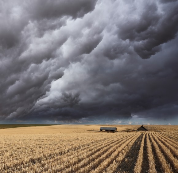 Stormy sky over a field of wheat